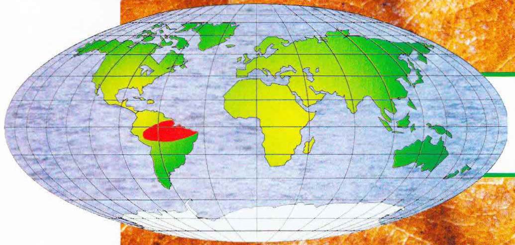 Ареал обитания суринамской пипы – обитает в Южной Америке от северо-восточного побережья континенты до Западной Бразилии.
