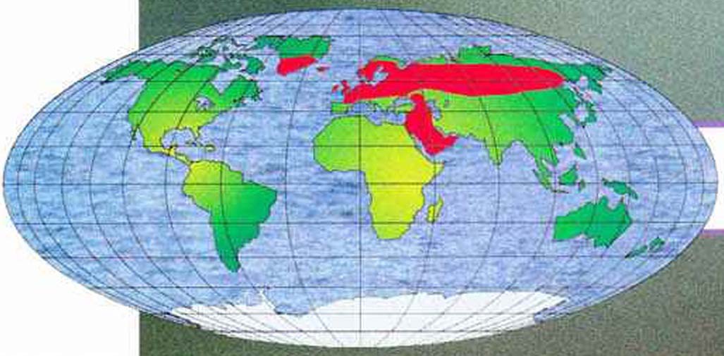 Ареал обитания ручейника лимнофила - распространён в Европе, Азии и Гренландии.