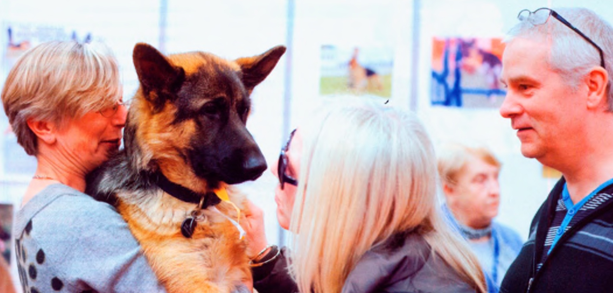 Овчарка на London Pet Show.