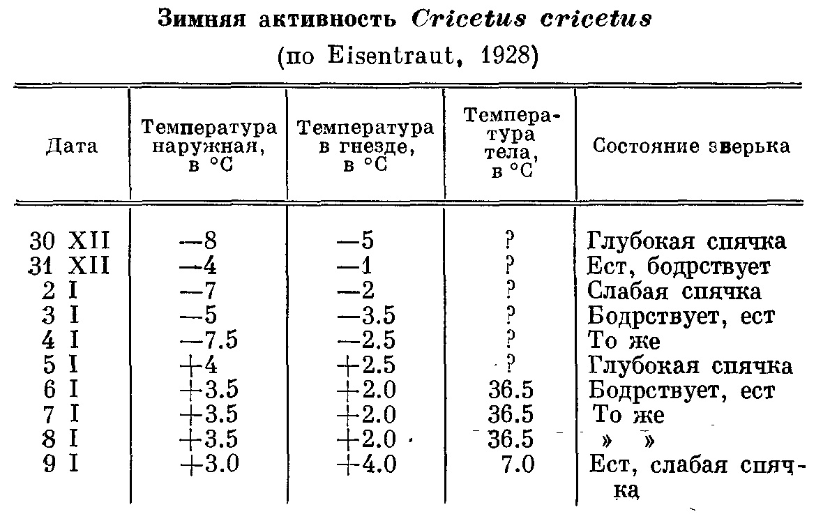 Спячка у различных хомяков.