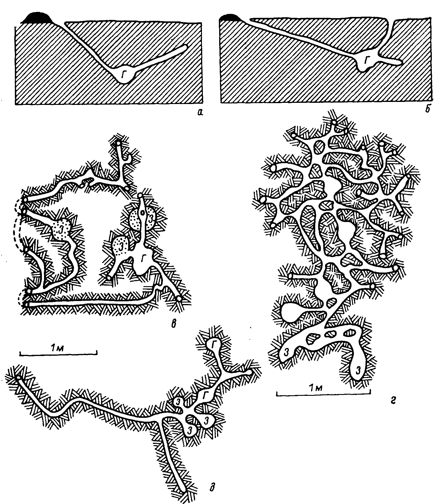 Рис. 1. Строение нор палеарктических хомяков Cricetini. а—г — Cricetulus barabensis Pall.: а, б — летние норы (по Ма-Ли-Мину, 1959, из Флинта, 1966), в, г — зимовочные норы (в — по Лаврову и Мартынову, 1960, из Флинта, 1966; г — по Jettmar, 1926); д — С. griseus Milne-Edw., зимовочная нора (по Jettmar, 1930).