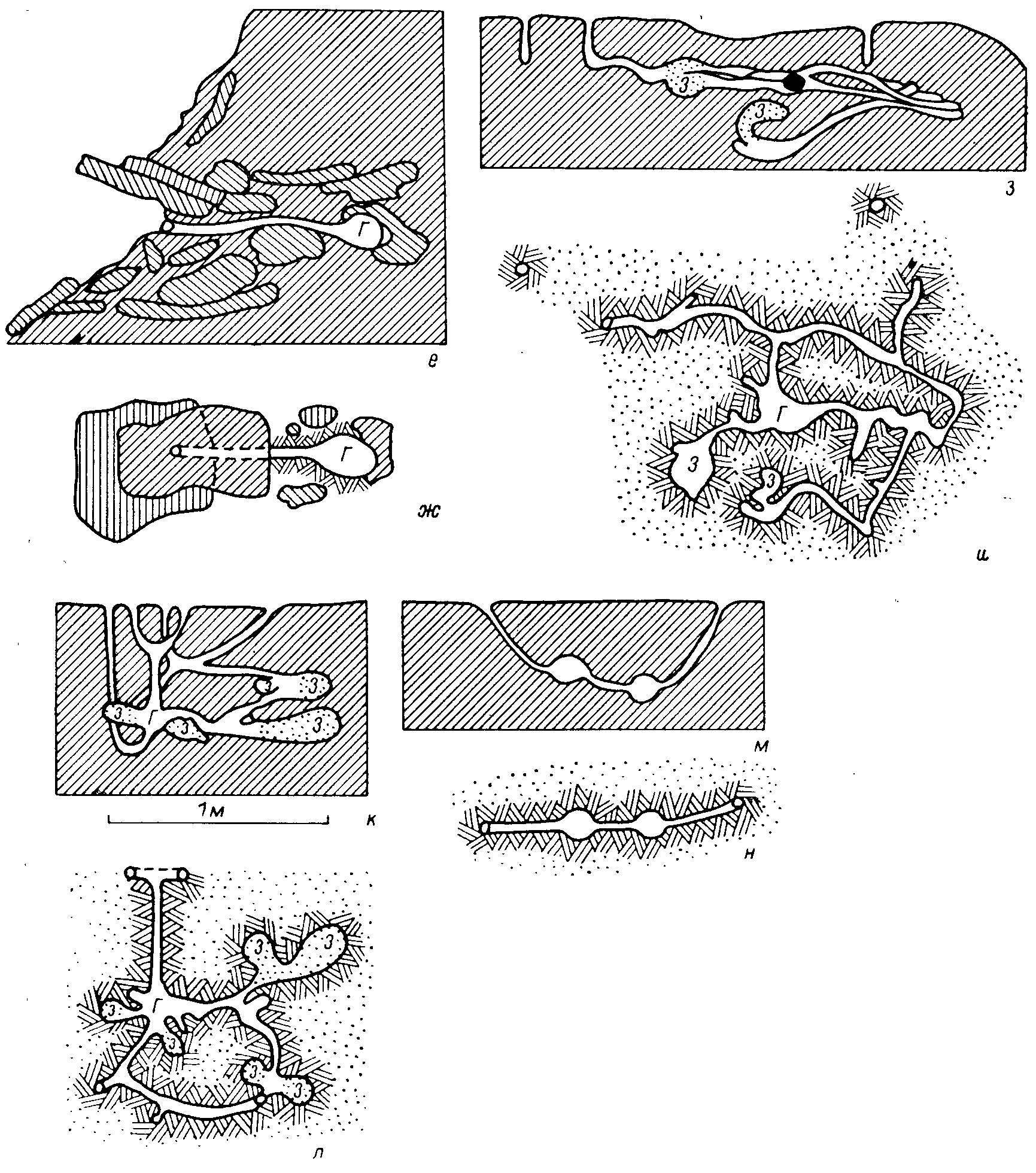 Рис. 1 (продолжение). е,ж — С. longicaudatus Milne-Edw. (из Флинта, 1966); э, и — С. migratorius Pall., зимовочная нора (по Сосниной, из Флинта, 1966); к, л — Tscherskia triton de Winton (no Шкилеву, 1957, из Флинта, 1966); м, п — Allocricetulus eversmanni Brandt (из Данини и Олыпванг, 1936).