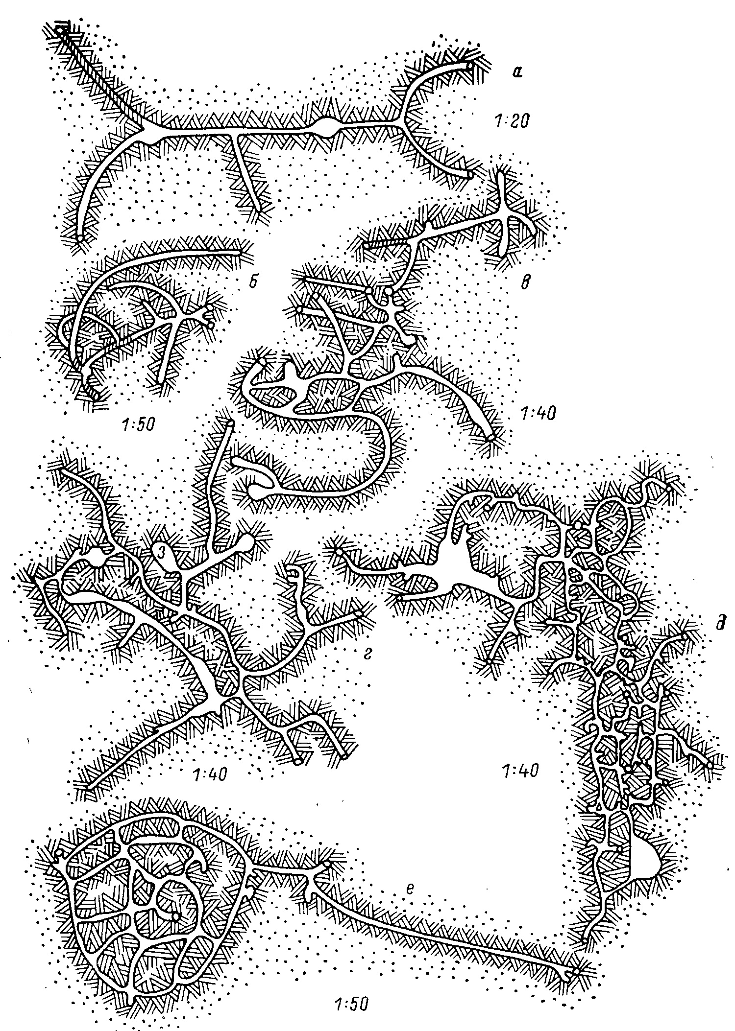 Рис. 2. Строение нор песчанок Gerbillinae. Вид сверху (по Petter, 1961). а — Gerbillus gerbillus Olivier; б — G. pyramidum Geoffroy; в — Tatera indica Hardwicke; г — Meriones persicus Blanford; д — M. vinogradovi Heptner; e — Psammomys obesus Gretzschmar.Древесный хомяк Thomasomys ilugens.