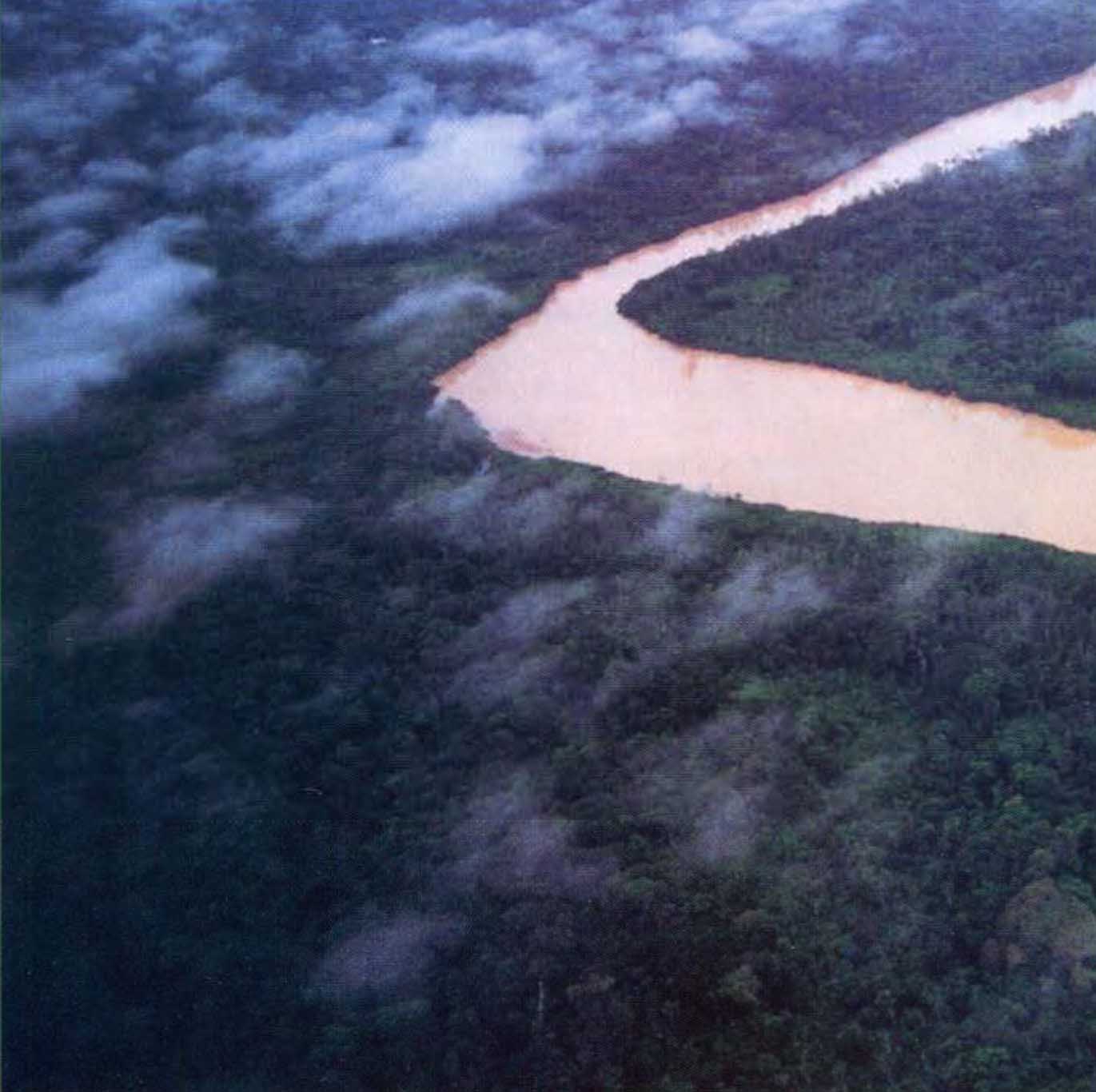 Вся Амазонская низменность пронизана сетью крупных рек.