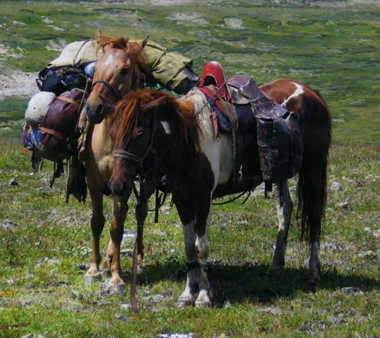 Поездка в Дархадскую котловину и озеро Хубсугул на лошадях.

