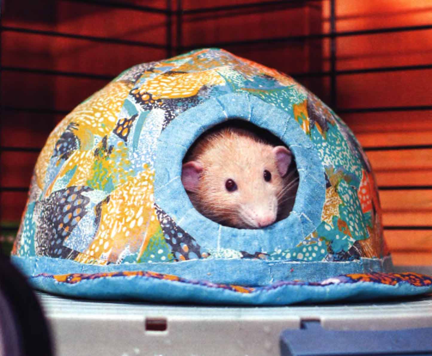 Декоративная крыса в комфортабельном домике-палатке.
