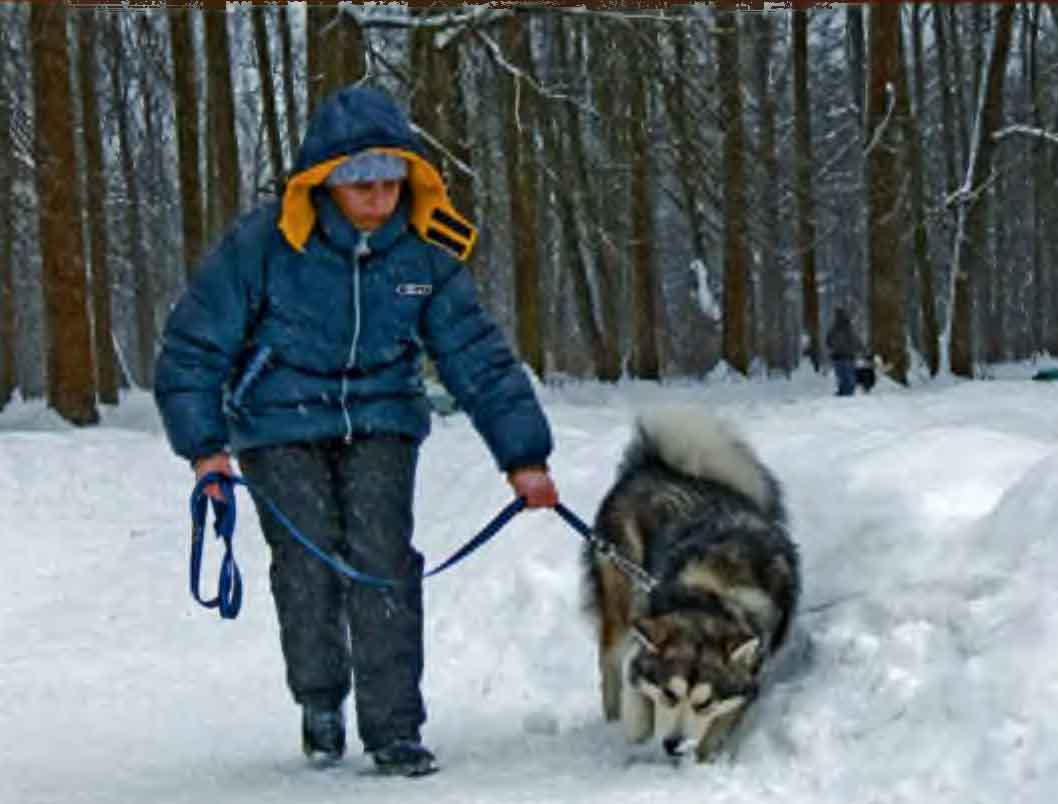 Грей взял след.