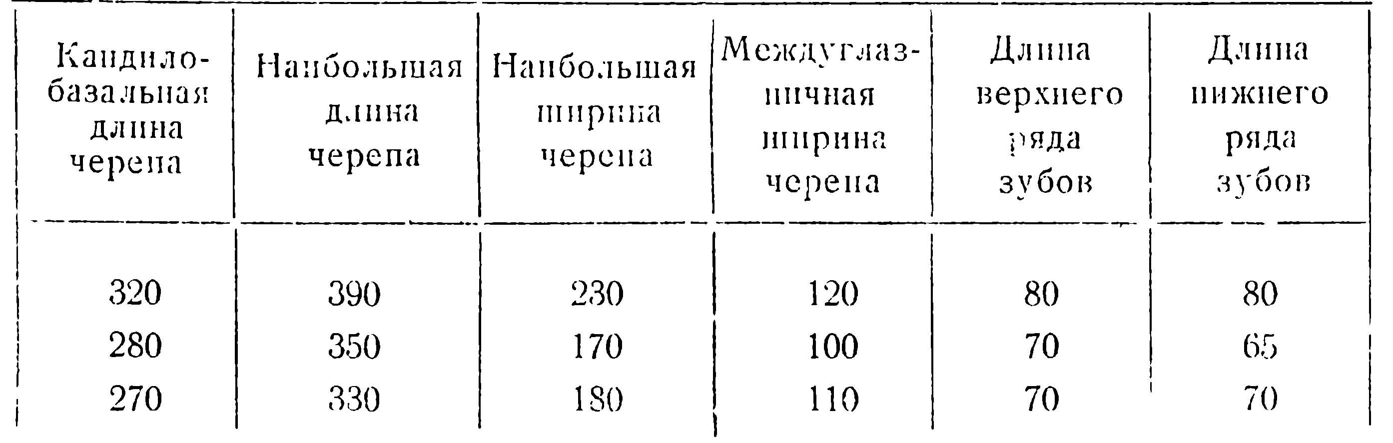 Таблица 1. Размеры черепа кабана.