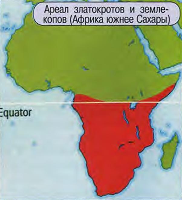 Ареал златокротов и землекопов (Африка южнее Сахары).