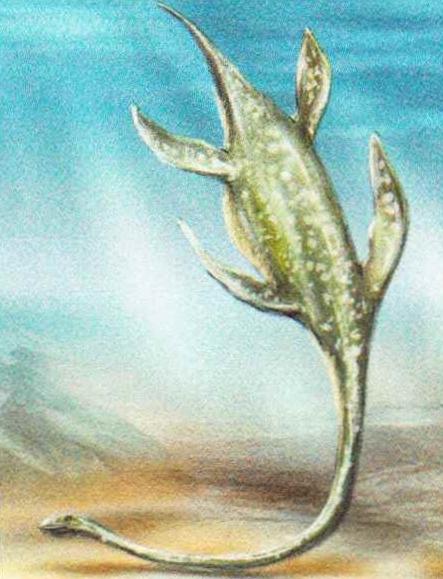 Длина эласмозавра достигала около 14 м. Его окаменелые остатки были найдены в Японии и США.