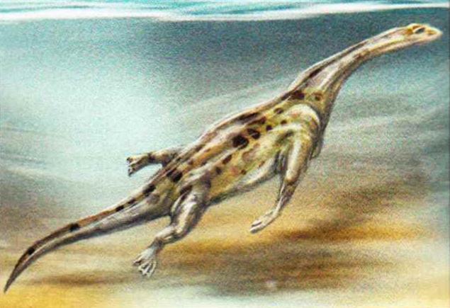 Нотозавр имел в длину около 3 м. Его окаменелые остатки найдены в Европе, Северной Африке и Азии (Китай, Израиль, Россия).