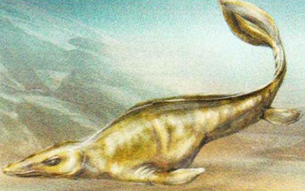 Плотозавр был огромным морским ящером длиной до 10 м. Его остатки были обнаружены в штате Канзас (США).