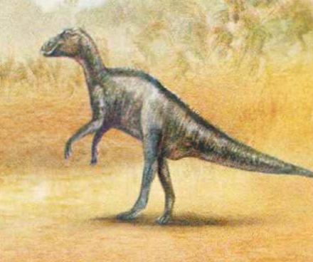 Окаменелые остатки ламбеозавра находят по всей Северной Америке от Калифорнии до Канады.