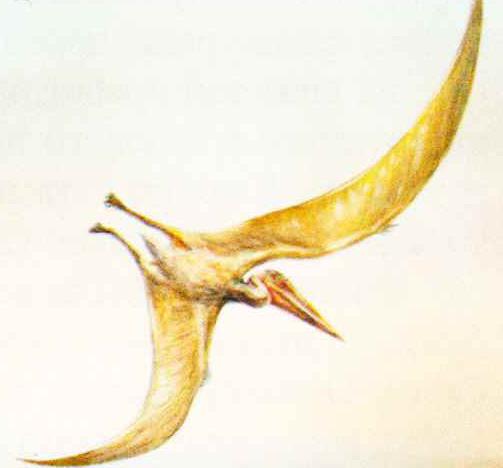 В Техасе (США) найдено лишь несколько окаменелых костей от крыльев кетцалькоатля.