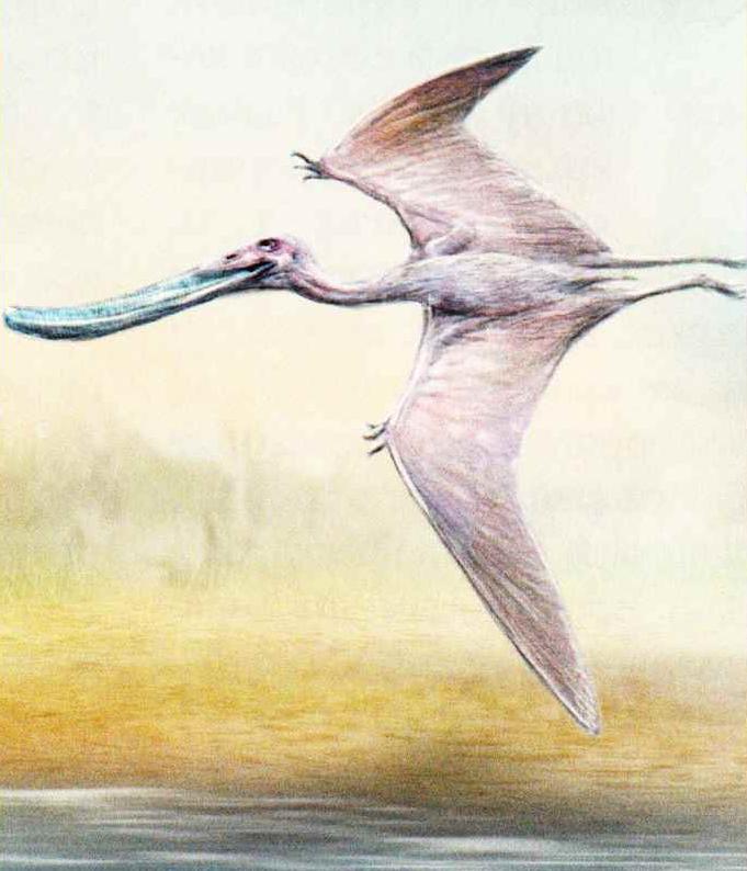 Птеродаустро (Pterodaustro guinazul).
